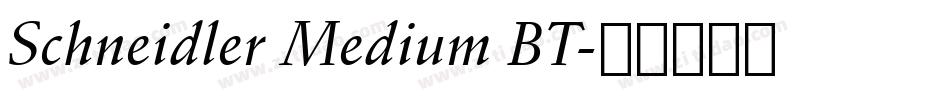 Schneidler Medium BT字体转换